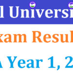 BA Result 2025 1st, 2nd, 3rd/Final Year Results All Universities
