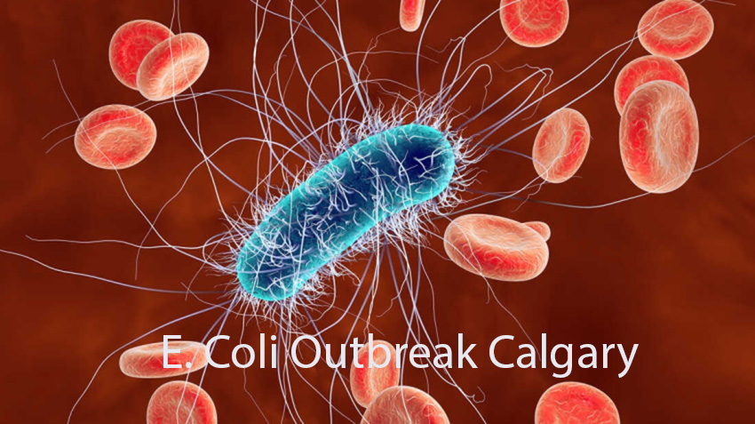 E. Coli Outbreak Calgary