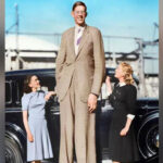Tallest Person in the World, List of tallest people, Height How Tall is the Tallest Person?