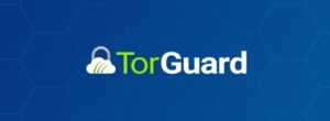 Tor Guard VPN Review In 2025: Features, Pricing How Good Is It?