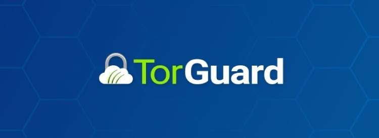 TorGuard VPN Review