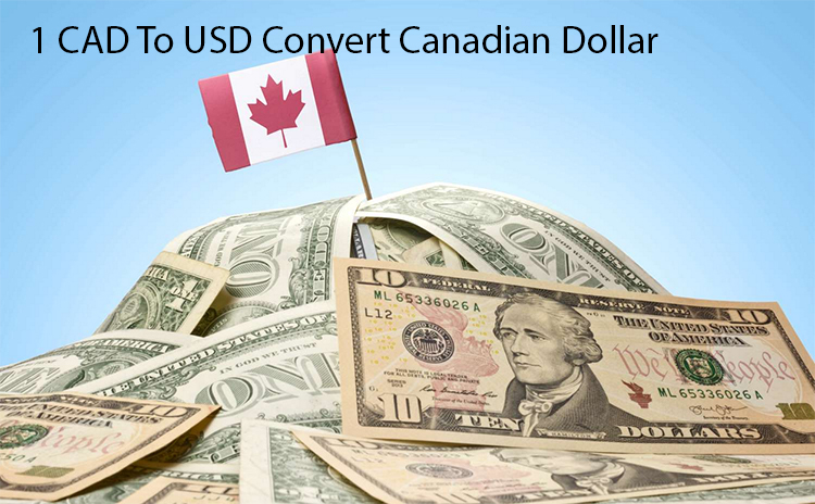 1 CAD To USD Convert Canadian Dollar