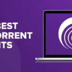 10 Fastest BitTorrent Clients in 2025 That Are Safe & Working