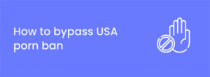 How to Beat the USA Porn Ban in Virginia, Utah and More